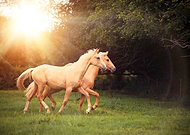 2019-04-15/7fa7b3021d64da98974a95da1ac460c1_e433c27cd1559448c8ae7efa8014b1c2