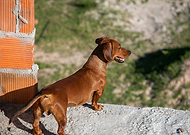 2019-04-16/02c41b86a5809e79bd16aad19d1b6c9a_3636131da96de6664ea3547b066bfbad