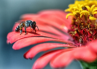 2019-04-16/872c12237c75c1cd7534ebbd8e0796dc_314bbdc4783f916b017e67b6149a67d3