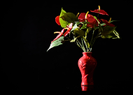 2019-04-16/c116ff49f7804d6e5db12f1fcab90490_47eeb47f5c10ec5ae4adbdaaf7c47bdf