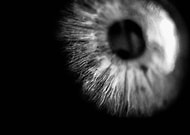 2019-04-16/f7571819683a92777c5f43683c7f1647_c824c34bcb10631c40a106b128d4c502