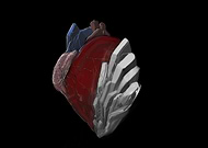 2019-04-18/30179a402ae0085e3faee7491bcd3823_7fef913ceed6020b28b261b9f4aa804c