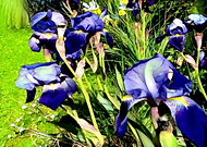 2019-04-18/5f8587bf87cceb042d9820331bd75f6a_bdc013793631833c0bd23e617f0391e2