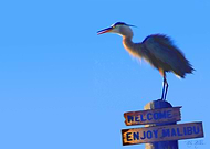 2019-04-18/cedc6f6d02e6cd0e9bb69b9a3dce3171_58da648f647b48867728f48a0829163a