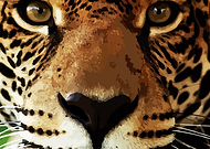 2019-04-18/dd008cb28db1c165bf1c843e34e9fde2_d0a0701feb2388f51f830b07a5c28e1e