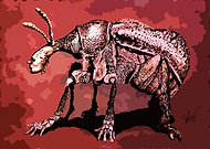 2019-04-19/047ca25adfb9a7c81e399910ce6ea00d_8e4512f72943b7de136df075066e011a