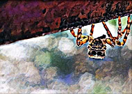 2019-04-19/8f5aaeae81854ea090fd1869fcb7a490_b9dcb8e389b10aefc8696bd0a4642c1a