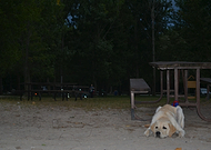 2019-04-19/a92ab28b9daebc6bb8bd0dca9a7fc375_8599be858c23504a9de5aa4b4116391e