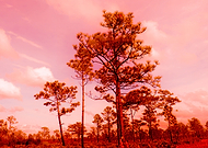 2019-04-19/b137a12718685072a2ecda6008767510_80db673b337c6c84101f6cd802bb5cbe