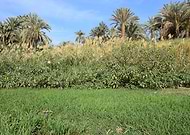 2019-04-19/c0772dff63a68df87932a0f32c957bfc_140b636aa1119639df0d780d2551dfad