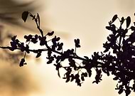 2019-04-19/c87ff3022e0bb28b6d310a1269853aa6_43d3aebb86c2dce43e9b7cafca3fe4f1