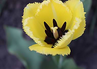 2019-04-19/df84ddf9cbeebaca5e3a7128f11affc5_53974667c7ea23dc6c59cc3e018a7cd1