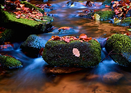 2019-04-21/63629cf9bade5138272260dc8e4d97e0_f587a22c94c234cb4776000fe18ba3e2