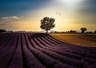 2019-04-21/b111778bde35eec1e7c7f7c121deba1f_89f89ca7f53b23474643a0c27f61131a