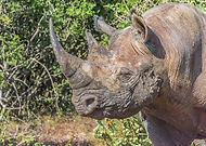 2019-04-23/340631bc83c441d0f344c6b46f84a3aa_eac9ea429307548033878cfe67896682