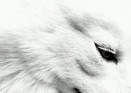 2019-04-23/6eff34dabff36b35970d5ea987b88ab3_9753c85049780a0bd37c0527dc820fb8