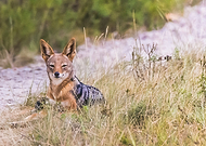 2019-04-23/8e63c1dc5d8f57bb8765f04c322eeb13_b99f6a41aead652fdb951cf78eacc48b