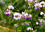 2019-04-23/adf2b457251a8ee8c4330056c1678126_c245864d0ad3e1cbb46622d3992a3357