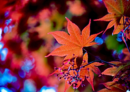 2019-04-24/27c8793df7c11eb71c17bcc08db7c7a2_cf9e1fbbf88a25f938d0b94cd431a327