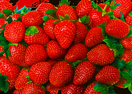 2019-04-24/5e2e12cd1acd48e4bdd5a2dae0e941fa_25c320ab97c53197931971e98fef8796