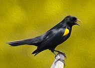 2019-04-24/848f12d40168fe06c81947275bdbe5ca_fc00d3bdd38c726ed103957224869586