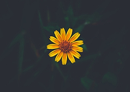 2019-04-25/10291ece3e45e92baa98970666a736dd_266537ed7462a510f58d8e375781f6d9