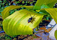 2019-04-25/139ca438d62f259e59514b052647a885_b5109830b078b69ed213097985af2360