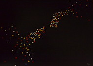 2019-04-25/1929fa7fdea53f932d999defa6bcde1a_72da8a753df410d9d67703b1b17c5a06