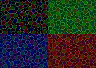 2019-04-25/1cf41fbd1c8859bf312ef4753135206b_9133a29639d96ba21a4c4534b5a51e2a