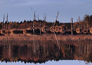 2019-04-25/3afdac46adc762c993012fb98f30de57_7094827c8cdd4fcb0642680f62bad332