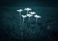 2019-04-25/7f650028708d0a5e7d0e9d5e82c1670a_4aeb4e3d6e2c67d558b83b19020c3a4e