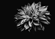 2019-04-25/ce66e9396a01fb0319a3d08f5eb7be15_ef689b4fe46ae2db5cf720573412f27c