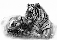 2019-04-25/e99b72c3dfbd9185594db6933765214b_f33823f02616c2628c329cf2f2466690