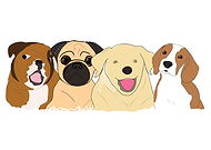 2019-04-26/4052baf5e9105bdf8e7cc6937cbb9ba9_341cd1dc3d0fcfb78ee1746b2ca3e9d7