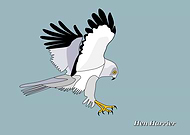 2019-04-26/b8791667719b2d442c9e66b007c445d3_2b7478c625c0d8093238dfc58b2c57d8