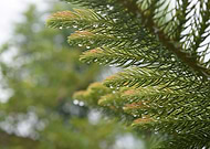 2019-04-26/c908f2daff09d322154d48cdc1cd0efe_5ba67dc8717b6fd6b941e60a5a5fa325