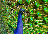 2019-04-26/d05b8efa666574af89b393e9d6fb45ae_2d4a738c4088081cd7a830a05e91749d