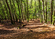 2019-04-26/e5c4eb262165f8d372d1e77431281f23_f70b074ca5ef3be4fdbb151c5c710733