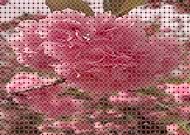 2019-04-27/081ed648777b2aba818bc7dce74e7b81_932164afac21b68b48448123ab3a4617