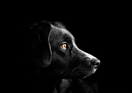 2019-04-27/79abef57cab6869e8193ffcd12f09f11_e7b10c06b1ed8698ce400a07054def7e