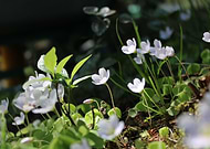 2019-04-27/833a3c462c7238ab9dca94841f9edbe3_1d525ec19eb35bb15b43b3b5110b277a