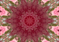 2019-04-27/b38181db18b559afade0b9943137abcc_b96fac0e95ac1151b88df4b21a0423be