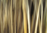 2019-04-28/524d755756de23953fee2a8df3dbd13f_d457d30ecb0787e98513faf3078e7cb2