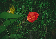 2019-04-29/1808018da7671981cf88d0a174ec44fb_15c3accfc83a95a6ab7aebdbe17cf89c