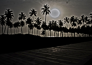 2019-04-29/62fb975ca09e9334f9b861924b6dc085_7a846a91064011ef299a5408c4315f25