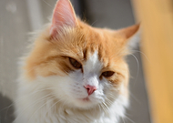 2019-04-29/c388e3601d2031ff9cba901e53e0b09c_046e8f36e50cc526d7cc77490cb48f09