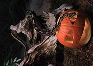 2019-04-30/17a147c54ea0e3d4dd5cfb386035d748_7a995440231cc23694821ed80c5cfd4e