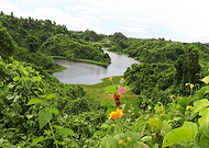 2019-04-30/231a782c3f741cd169928ad7cb388b84_454c24cbe8f9b25e99622233e0665868