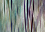 2019-04-30/72c9a2365cf9bcd46a2ddfe5ac31521b_1bbfbc13e42190c63c50019ea2b89921