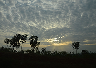 2019-04-30/c946830b7ca0915dbf96ada4785c74ca_d4e436b0c0bb1adda93109409b1e2383